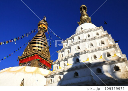 スワヤンブナート(Swayambhunath) スワヤンブナート(Swayambhunath) 109559973