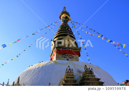 スワヤンブナート（Swayambhunath） 109559978