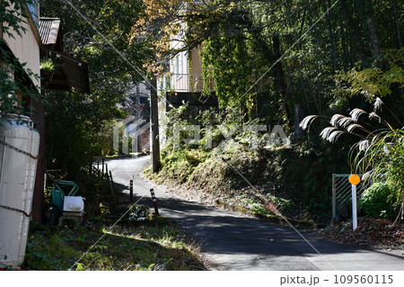 田舎道、坂道 109560115