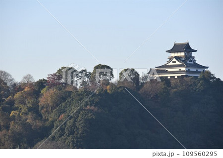 犬山城と木曽川 109560295