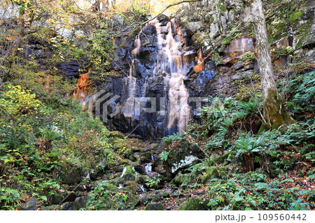 裏磐梯の紅葉 磐梯山ゴールドライン まぼろしの滝 裏磐梯の紅葉 磐梯山ゴールドライン まぼろしの滝 109560442