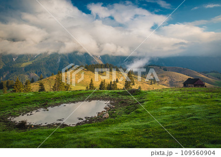 Foggy summer scenery and beautiful phenomenon in the mountains, Romania 109560904