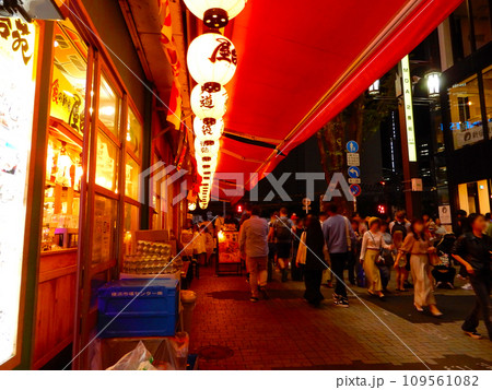 飲食店の軒先の赤提灯と人混み 飲食店の軒先の赤提灯と人混み 109561082