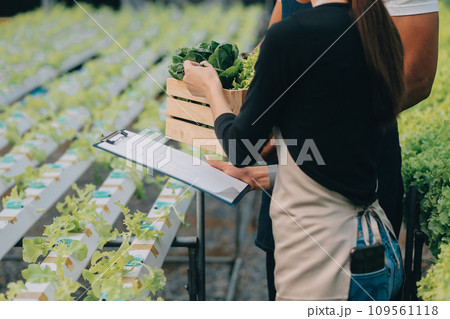 Two Asian farmers inspecting the quality of organic vegetables grown using hydroponics. Two Asian farmers inspecting the quality of organic vegetables grown using hydroponics. 109561118