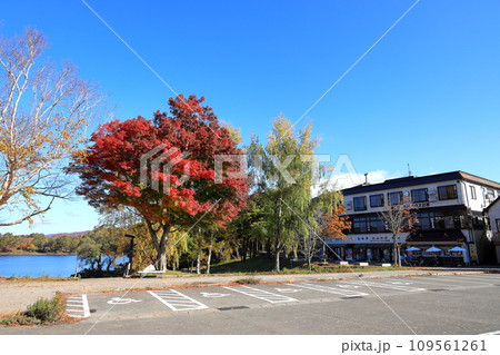 裏磐梯の紅葉 檜原湖 裏磐梯の紅葉 檜原湖 109561261