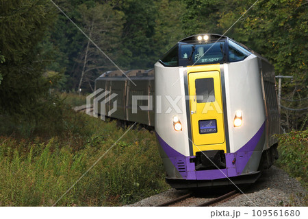 根室本線を駆ける特急おおぞら おおぞら 根室本線 石勝線 キハ261 根室本線を駆ける特急おおぞら おおぞら 根室本線 石勝線 キハ261 109561680