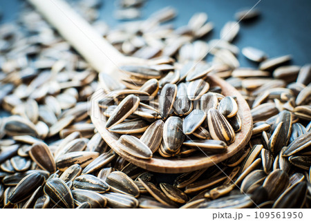 sunflower seeds 109561950