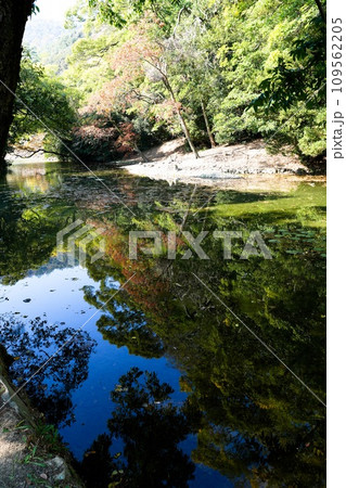 特別名勝・栗林公園(高松市)はミシュラン三つ星 特別名勝・栗林公園(高松市)はミシュラン三つ星 109562205