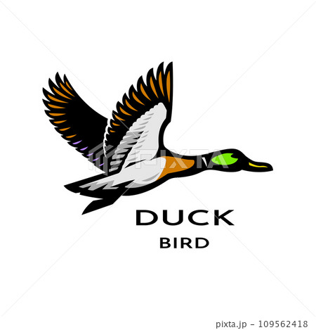 Flying duck logo. 109562418