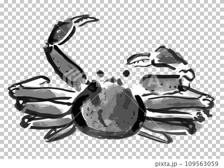 ズワイガニ和風手描きイラスト（モノクロの墨絵） 109563059