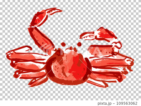 ズワイガニ和風手描きイラスト ズワイガニ和風手描きイラスト 109563062