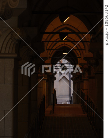 晩秋の東京大学本校キャンパス構内 晩秋の東京大学本校キャンパス構内 109563142