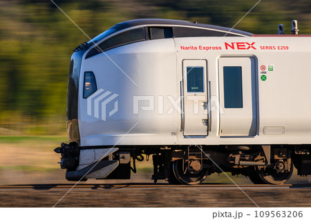 夕日を浴びて走る電車 109563206