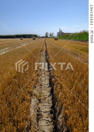 dry and cracked land drought climate problem, affects agriculture. dry and cracked land drought climate problem, affects agriculture. 109563467