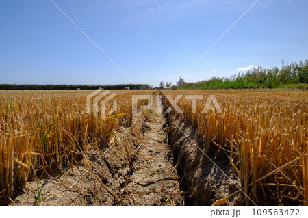 dry and cracked land drought climate problem, affects agriculture. dry and cracked land drought climate problem, affects agriculture. 109563472
