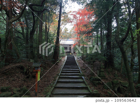 紅葉の名所「四国別格二十霊場第十番札所西山興隆寺」仁王門 紅葉の名所「四国別格二十霊場第十番札所西山興隆寺」仁王門 109563642