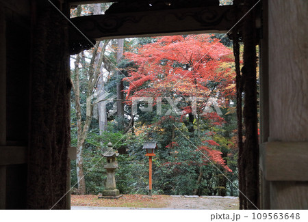 紅葉の名所「四国別格二十霊場第十番札所西山興隆寺」仁王門（門の内側から撮影） 109563648