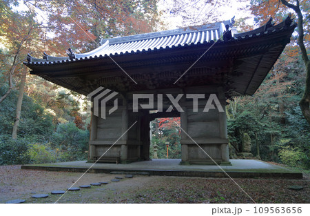 紅葉の名所「四国別格二十霊場第十番札所西山興隆寺」仁王門（仁王門の裏側から撮影） 109563656