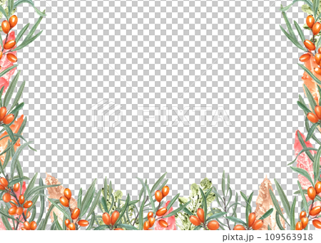Bright sea buckthorn and imprints of autumn colorful leaves of different trees. Ripe orange berries. Watercolor illustration. Horizontal watercolor frame with copy space for text Bright sea buckthorn and imprints of autumn colorful leaves of different trees. Ripe orange berries. Watercolor illustration. Horizontal watercolor frame with copy space for text 109563918
