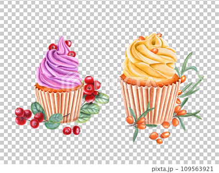Set of cupcakes in paper wrapper. Muffin decorated with pink , orange cream and berries. Baked cake, cranberry. Cowberry, lingonberry. Sea buckthorn. Watercolor illustration for package, menu, recipe Set of cupcakes in paper wrapper. Muffin decorated with pink , orange cream and berries. Baked cake, cranberry. Cowberry, lingonberry. Sea buckthorn. Watercolor illustration for package, menu, recipe 109563921
