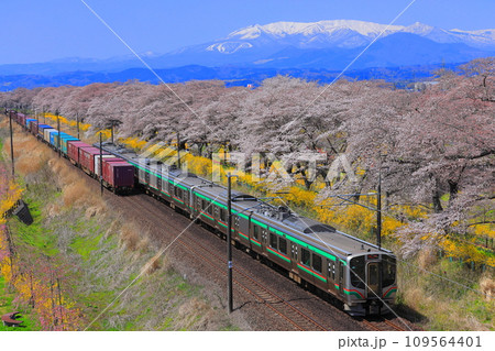 一目千本桜 109564401