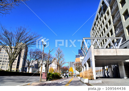 富山市役所前(城址大通り)より富山駅北口方面を望む(富山県富山市)【2023.12】 109564436