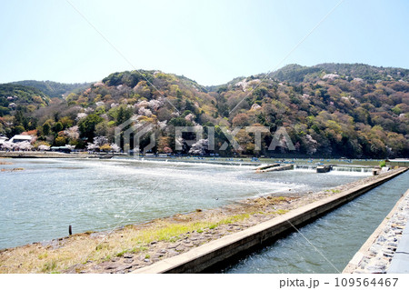 京都府京都市_一ノ井堰4_2023年3月 109564467