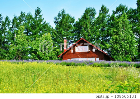 夏の北海道 美瑛町「オルテの丘」の風景 夏の北海道 美瑛町「オルテの丘」の風景 109565131