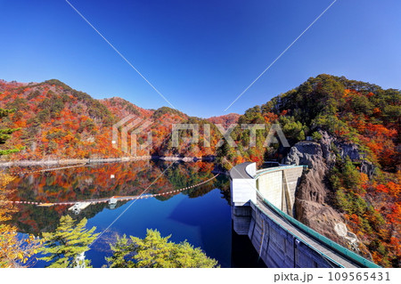 川俣湖の秋 109565431