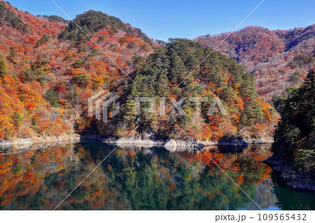 川俣湖の秋 川俣湖の秋 109565432
