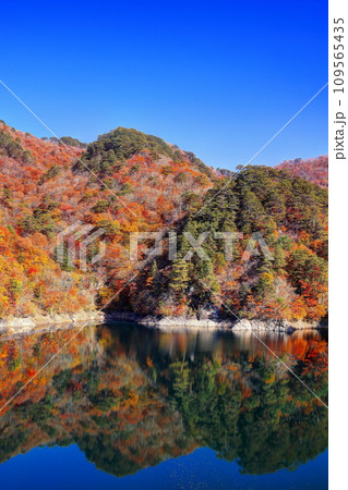 川俣湖の秋 川俣湖の秋 109565435