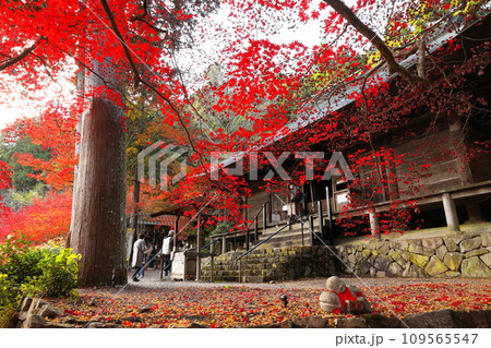 大国寺 大国寺 109565547