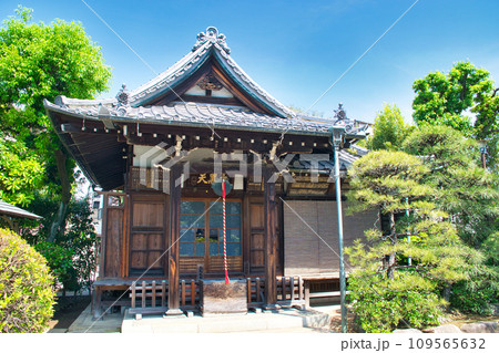 大黒山 経王寺の境内(東京都荒川区) 大黒山 経王寺の境内(東京都荒川区) 109565632