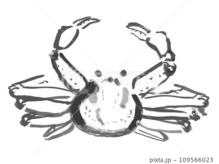 ズワイガニ和風手描きイラスト(モノクロの墨絵) ズワイガニ和風手描きイラスト(モノクロの墨絵) 109566023