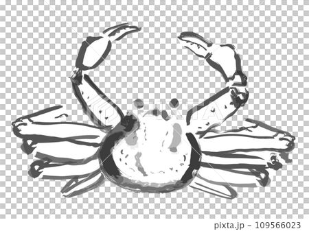 ズワイガニ和風手描きイラスト(モノクロの墨絵) ズワイガニ和風手描きイラスト(モノクロの墨絵) 109566023