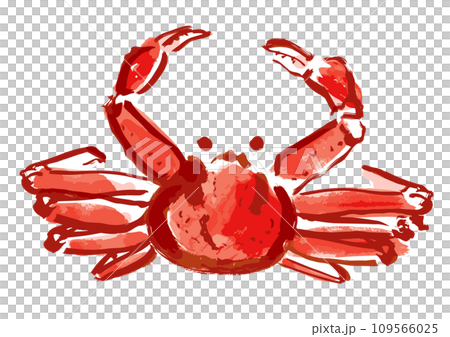 Snow crab Japanese style hand drawn illustration Snow crab Japanese style hand drawn illustration 109566025