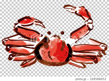 ズワイガニ和風手描きイラスト 109566032