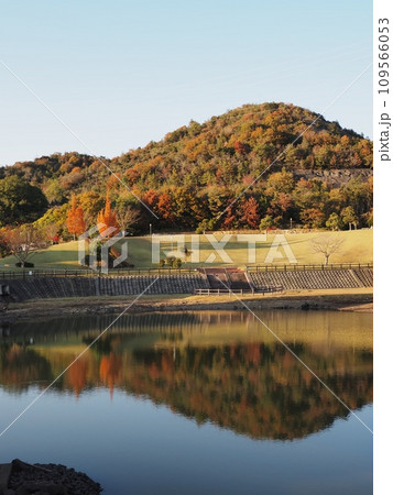 秋の横尾池公園 里山の紅葉 秋の横尾池公園 里山の紅葉 109566053
