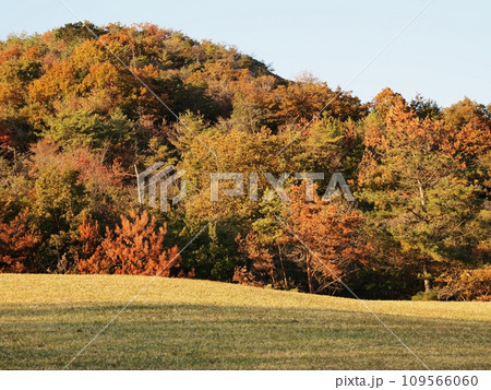 秋の横尾池公園　里山の紅葉 109566060