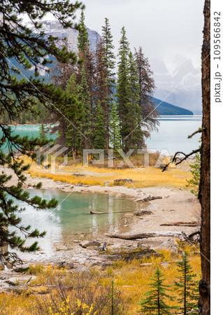 Fir trees island on the lake waterfront in autumn foliage season. snowy foggy mountains in the background. 109566842