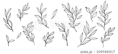 vector contour branch and leaves collection. Elegant branches for decoration. ink hand drawing monochrome botanical illustration for backgrounds. Temlate for wedding cards and polygraphy, logo, tattoo 109566917