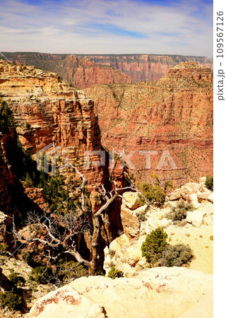 Hazy Sky Day At The Grand Canyon Arizona 109567126