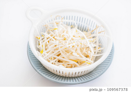 黒豆細もやし 黒豆細もやし 109567378