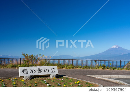 西伊豆・煌めきの丘から見る富士山と駿河湾 静岡県 沼津市 109567904