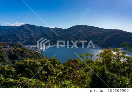 西伊豆・戸田漁港を望む 静岡県 沼津市 西伊豆・戸田漁港を望む 静岡県 沼津市 109567909