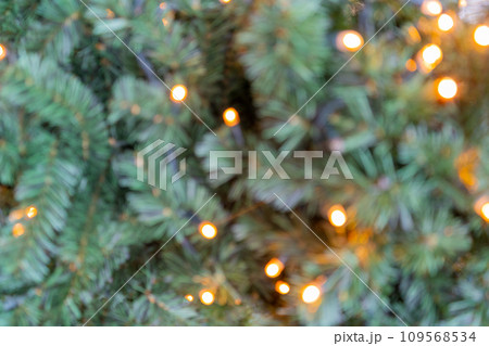 Natural green spruce twig background or texture Natural green spruce twig background or texture 109568534
