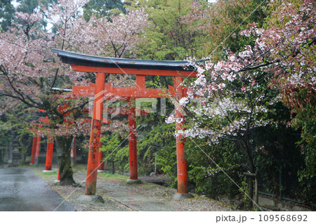 竹中稲荷神社 竹中稲荷神社 109568692