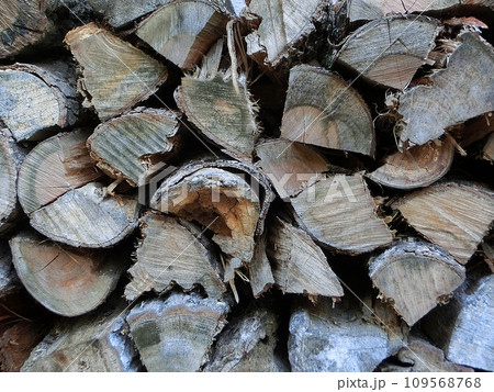 たくさんの薪の背景素材 109568768