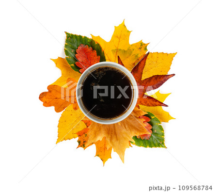 Autumn Coffee Cup Isolated, Coffee Mug on Yellow Autumn Tree Leaves, Hot Drink in Golden Foliage 109568784