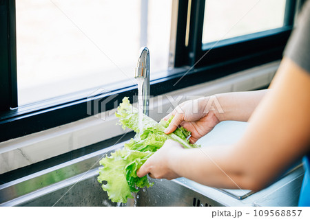 Woman's hands washing assorted vegetables in a sink with running water creating a vegan salad in a modern kitchen. Hygiene and freshness emphasized in homemade healthy food prep. Woman's hands washing assorted vegetables in a sink with running water creating a vegan salad in a modern kitchen. Hygiene and freshness emphasized in homemade healthy food prep. 109568857
